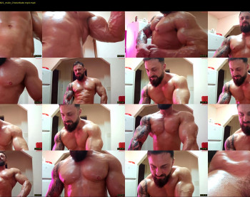 adonis_msc