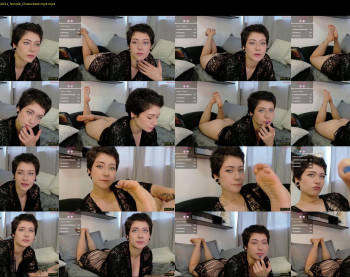 dan_universe
