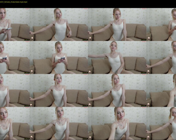 brittany_bird
