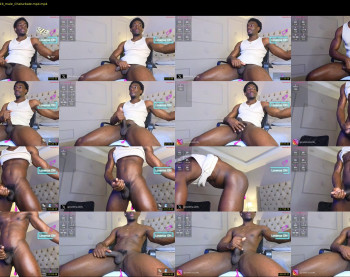 janstallion