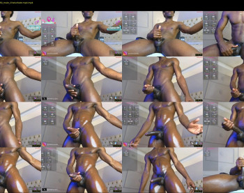 janstallion
