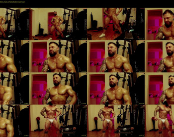 adonis_msc