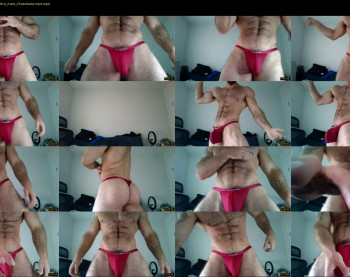 skylerflexes