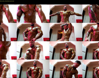 adonis_msc