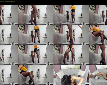 katedolly
