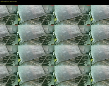 wokeuphardnj