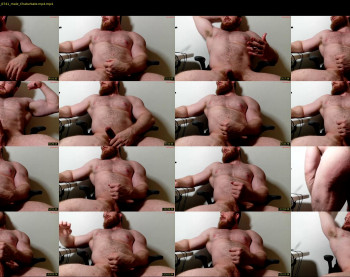 pec_inspector