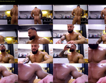 adonis_msc