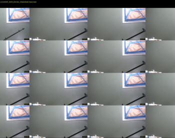 pleasantdinosaurus7537