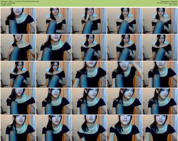 Fancyv Webcam