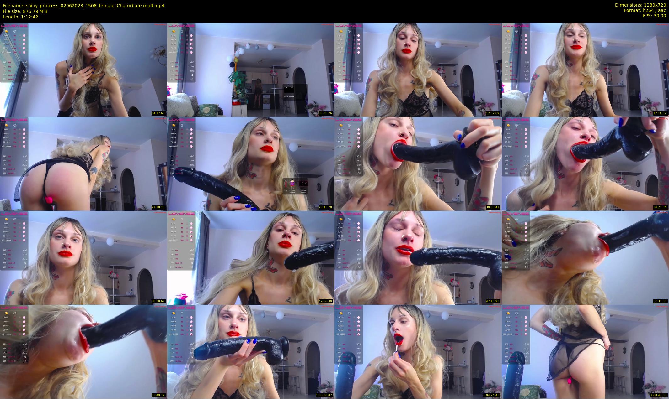 shiny_princess 020623 1508 Chaturbate female
