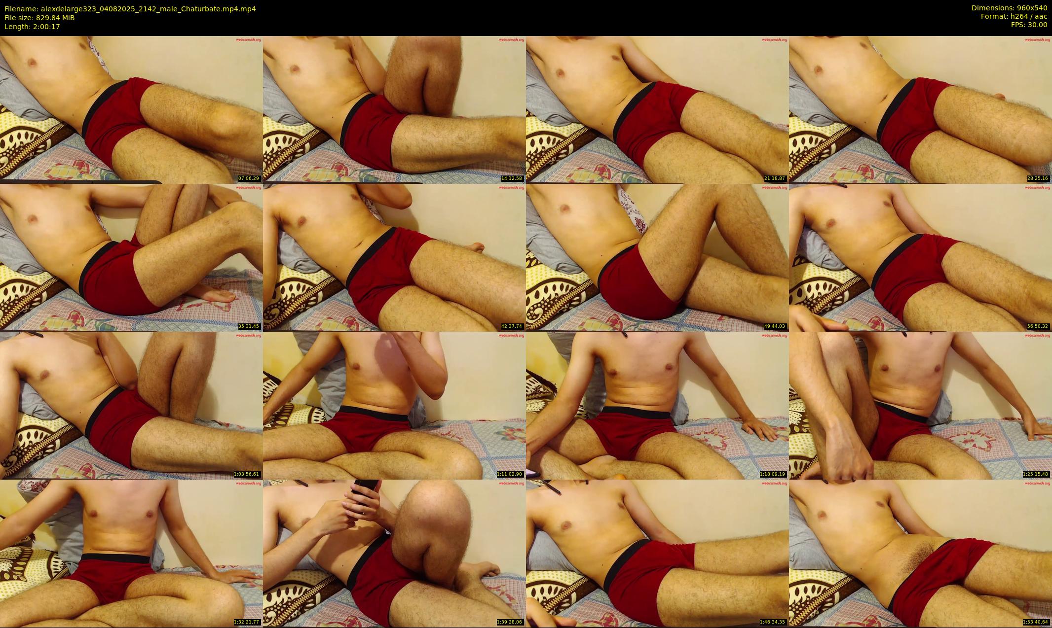 alexdelarge323 040825 2142 Chaturbate male